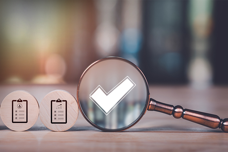 Statutory Audits